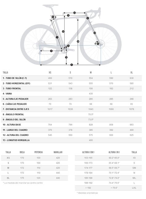 Orbea talla PenalbaWeb.com