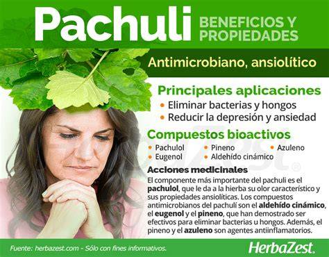 Pachuli PenalbaWeb.com