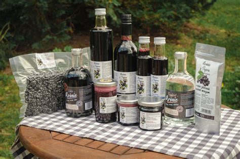 Pajera PenalbaWeb.com