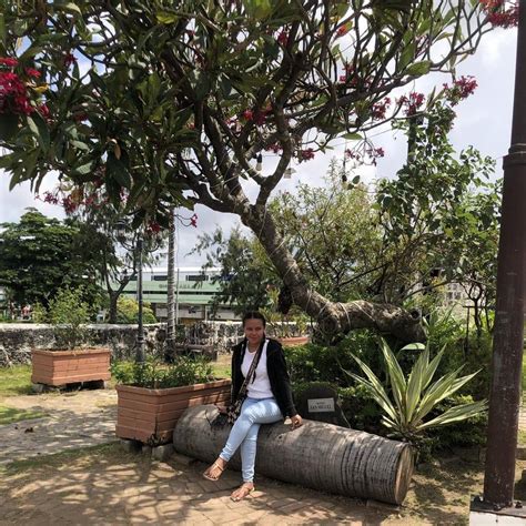 Pallones PenalbaWeb.com