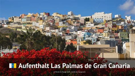 Palmas gran PenalbaWeb.com