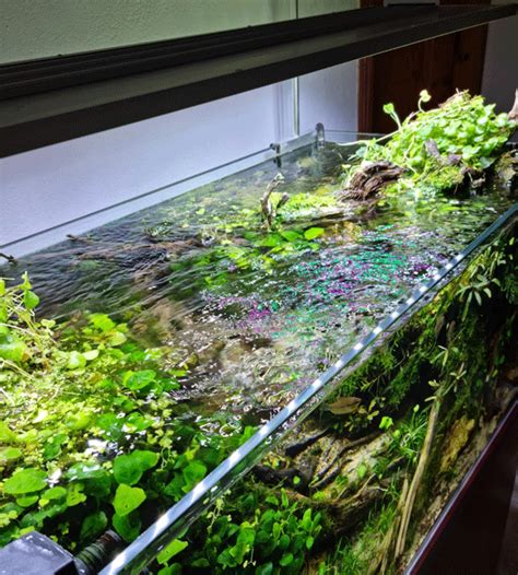 Pantalla acuario 120 cm PenalbaWeb.com