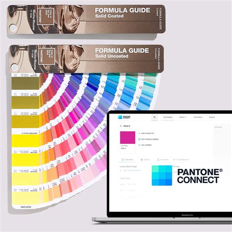 Pantone PenalbaWeb.com