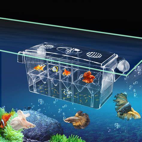Parideras para guppys PenalbaWeb.com