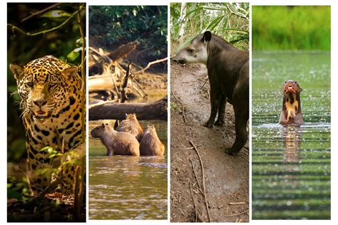 Parque animales PenalbaWeb.com