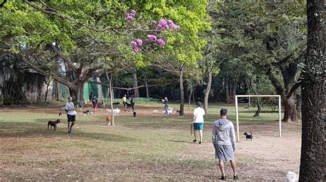 Parque cachorros PenalbaWeb.com