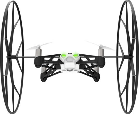 Parrot rolling PenalbaWeb.com