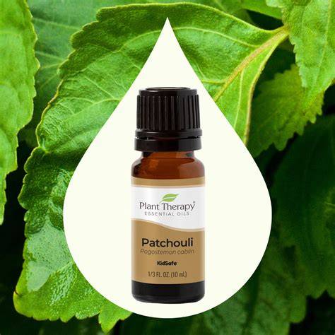 Patchouli PenalbaWeb.com