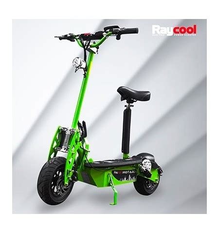 Patinete electrico raycool 1000w PenalbaWeb.com