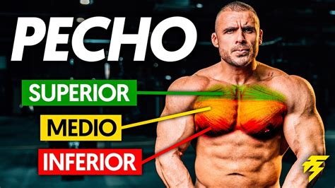 Pechos os PenalbaWeb.com