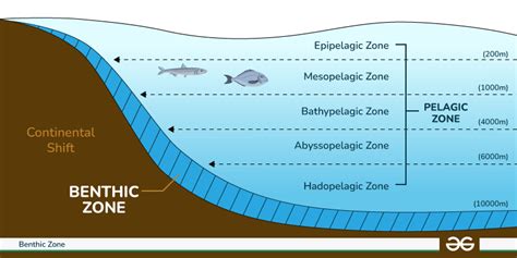 Pelagic PenalbaWeb.com