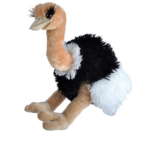 Peluche avestruz PenalbaWeb.com