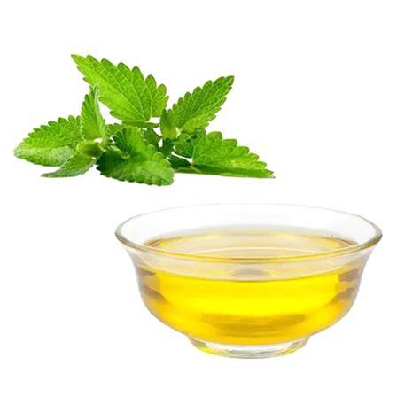 Peppermint PenalbaWeb.com