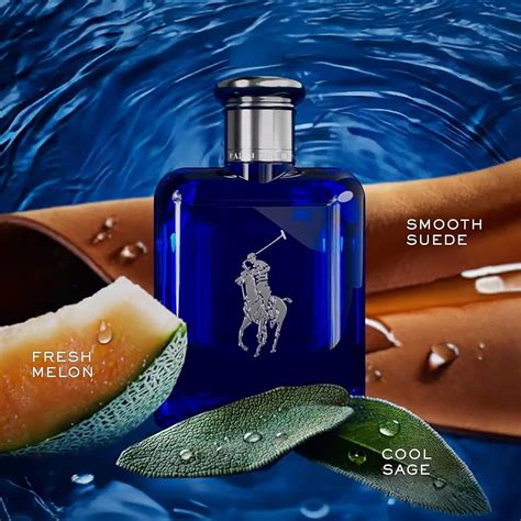 Perfume ralph lauren PenalbaWeb.com