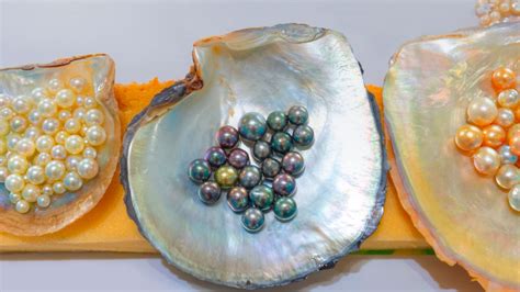 Perlas naturales PenalbaWeb.com