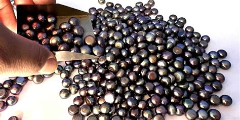 Perlas negras PenalbaWeb.com