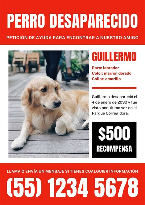 Perro perdido PenalbaWeb.com