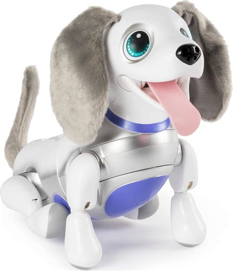 Perro zoomer PenalbaWeb.com