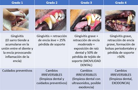 Perros grado PenalbaWeb.com