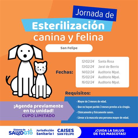 Perros gratis leon PenalbaWeb.com