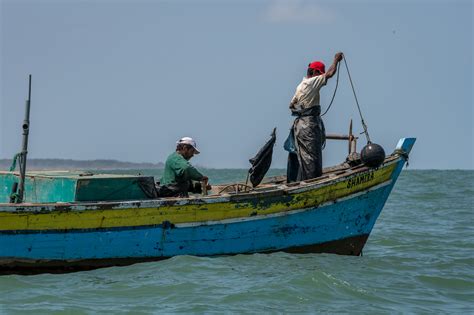 Pesca mar PenalbaWeb.com