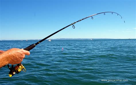 Pesca spinning PenalbaWeb.com