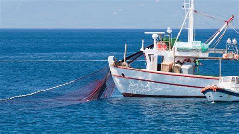 Pesca car PenalbaWeb.com