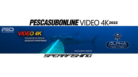 Pescasub PenalbaWeb.com