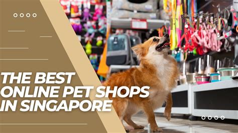 Pet shop online PenalbaWeb.com