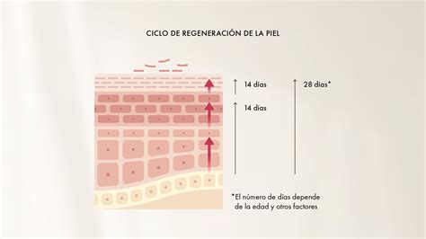 Piel PenalbaWeb.com
