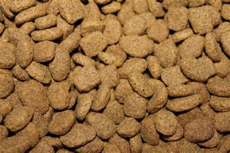 Pienso para perros PenalbaWeb.com