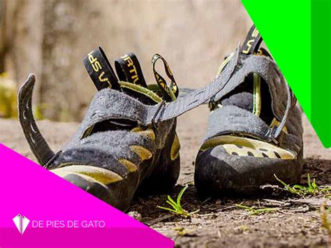 Pies de gato PenalbaWeb.com