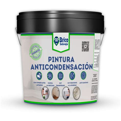 Pintura antihumedad PenalbaWeb.com
