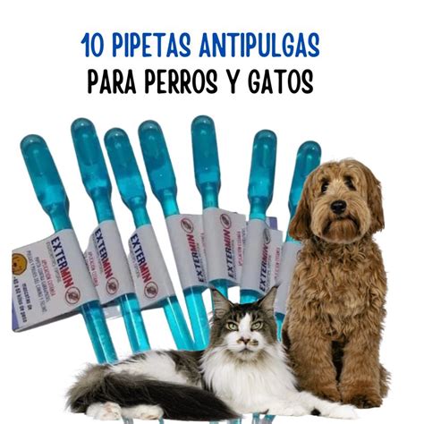 Pipetas perros PenalbaWeb.com