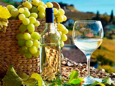 Pisco peruano PenalbaWeb.com