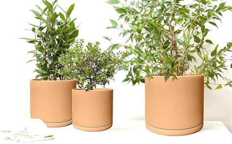 Plant pots PenalbaWeb.com