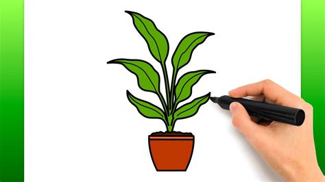 Planta facil PenalbaWeb.com
