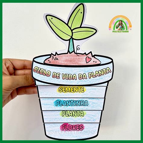 Planta de la vida PenalbaWeb.com