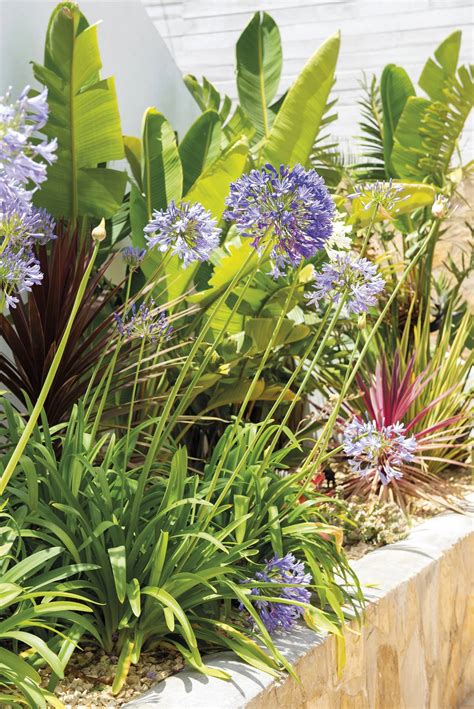 Plantas exterior PenalbaWeb.com