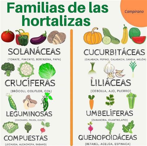 Plantas horticolas PenalbaWeb.com