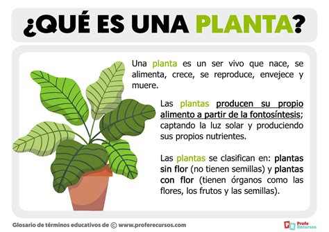 Plantas PenalbaWeb.com