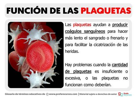Plaqueta PenalbaWeb.com