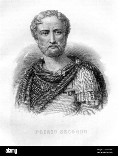 Plinius PenalbaWeb.com