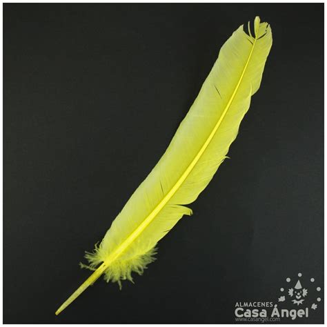 Pluma pato PenalbaWeb.com