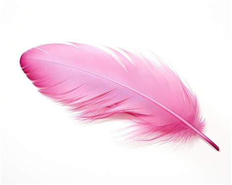 Pluma rosa PenalbaWeb.com