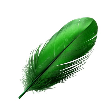 Pluma verde PenalbaWeb.com