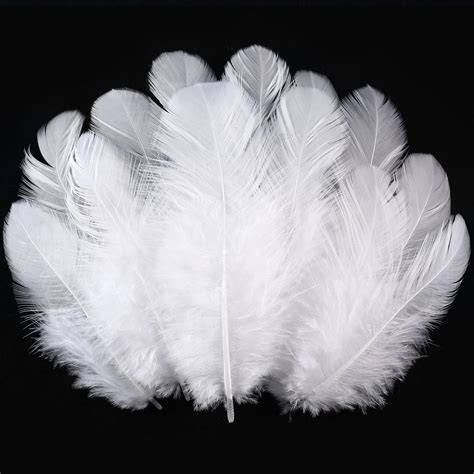 Plumas blancas PenalbaWeb.com