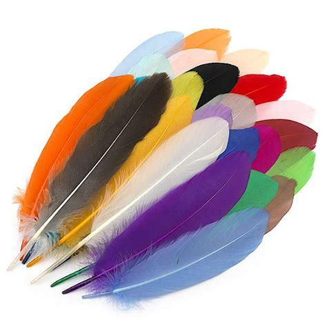 Plumas de colores PenalbaWeb.com