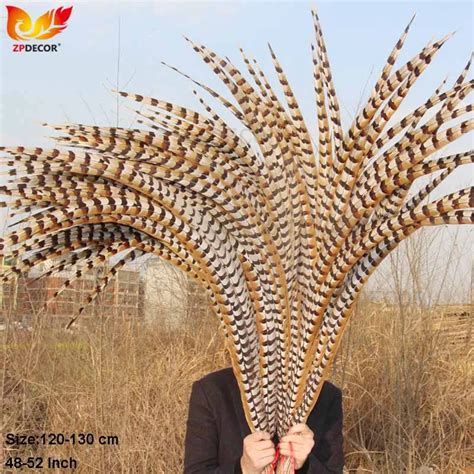 Plumas de faisan PenalbaWeb.com