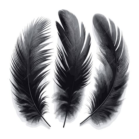 Plumas negras PenalbaWeb.com